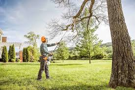 Best Tree Health Inspection  in Lakeland, MN